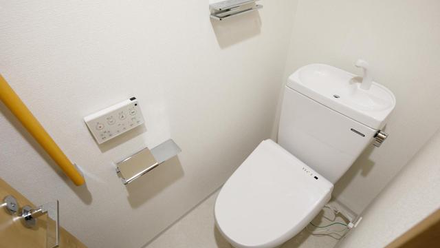 Gallery image 10
