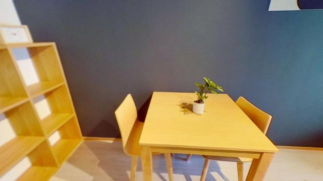 Gallery image 12