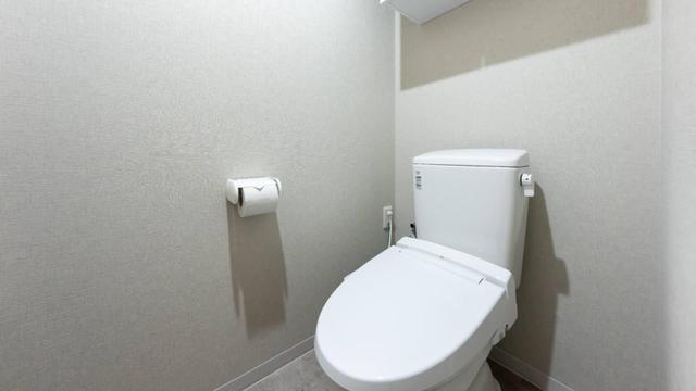 Gallery image 12