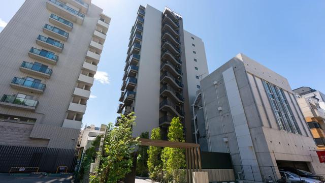 Gallery image 21